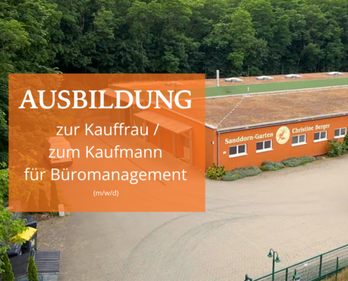 Ausbildung zur Kauffrau / zum Kaufmann für Büromanagement (m/w/d)
